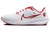 Air Zoom Pegasus 40 'Bowerman Track Club' FJ2844-100