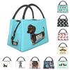 Kawaii Dachshund Утепленные сумки для обеда для женщин Портативный кулер для сосисок и барсуков Термосумка для бенто Офис Пикник Путешествия