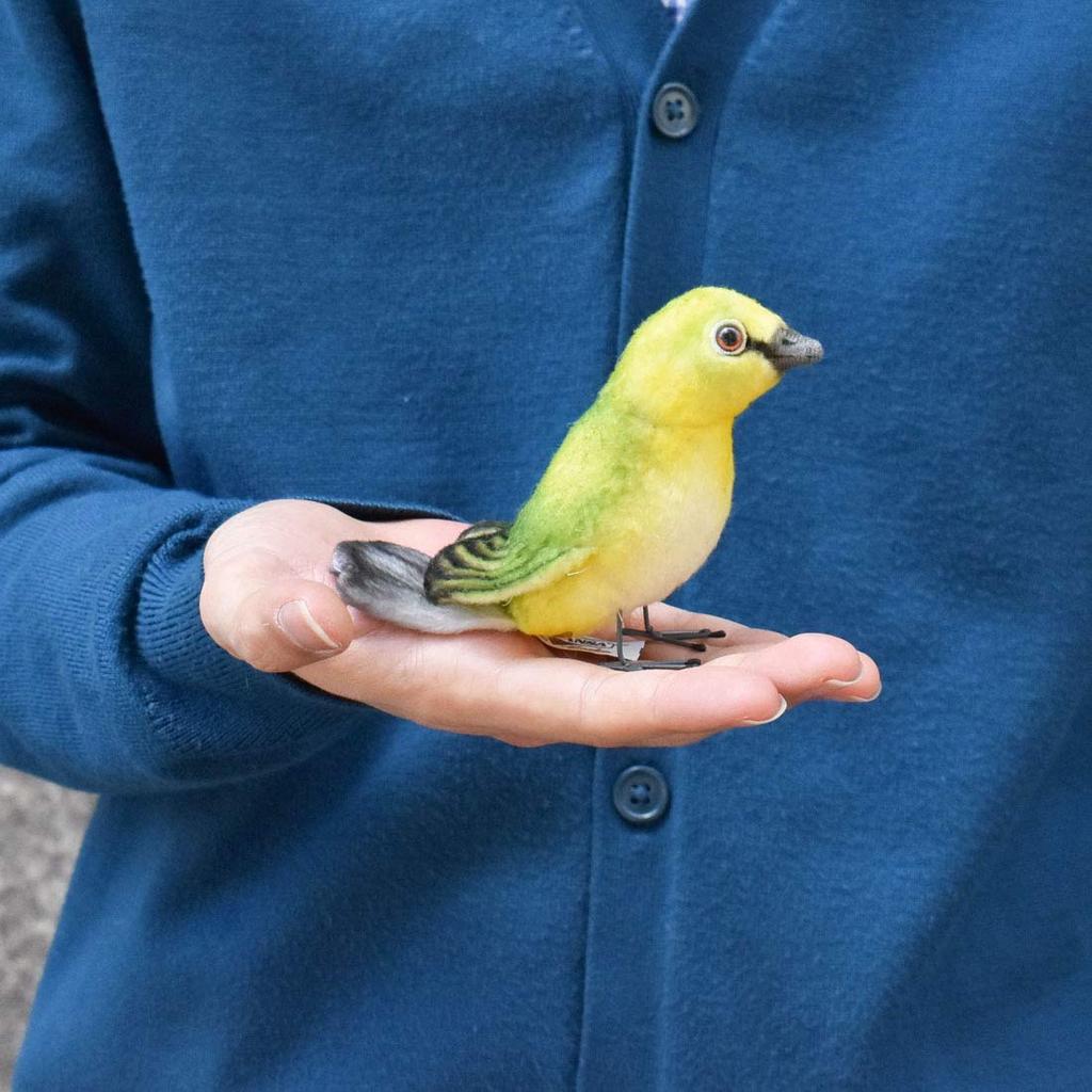 BH7246 HANSA Белоглазый 13