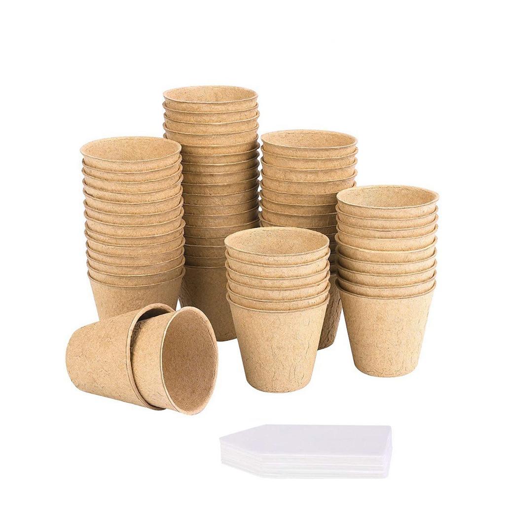 60pcs Seed  Tray,  Seedling Pot, Pulp Seedling Cup, Plant Pot Germination Cup