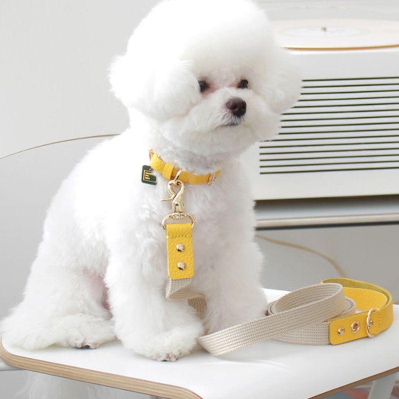 MAISON DE MIU Running Mate Leather&Webbing Lead_Yellow