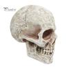 Боковое Лицо Человеческий Череп Орнамент Хэллоуин Декор Реалистичная Смола Статуя Ужаса Водонепроницаемое Украшение Домашнего Офиса И Двора
