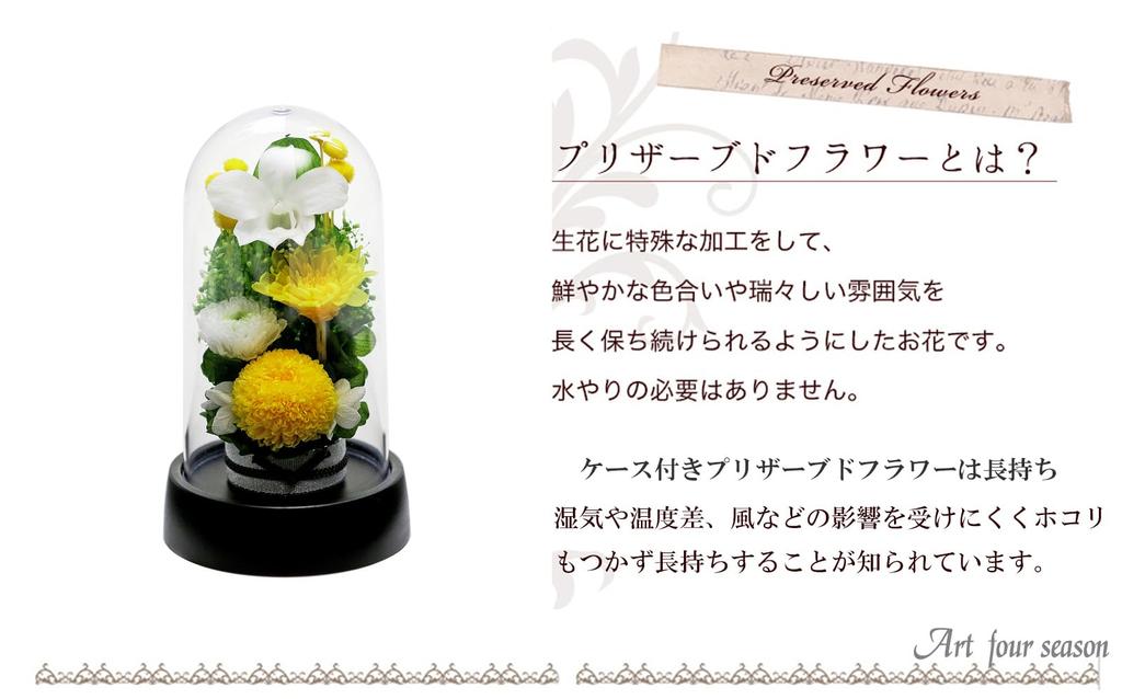 Art for Seasons Mini Mum Mini Dome Yellow Preserved Flowers