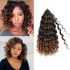 Feizi Crochet Short Curly Hair Deep Wave Wig