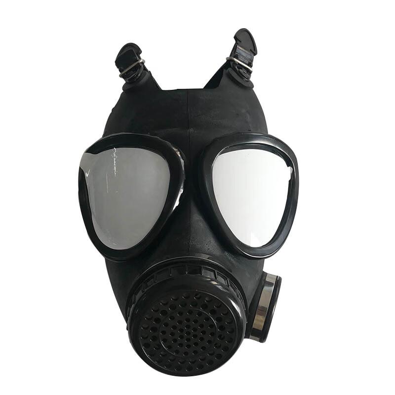 Longchan CF25 Full-Face Respirator Mask