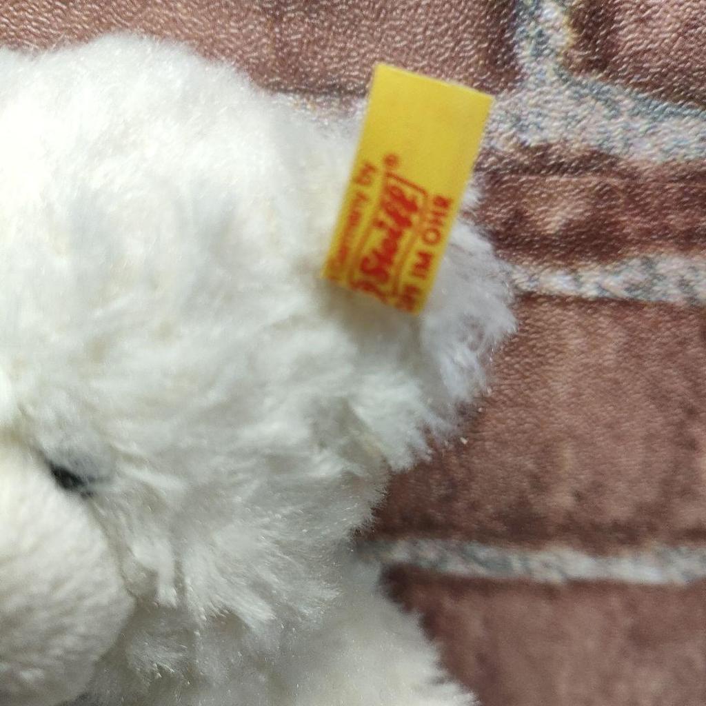 [USED] Steiff Lotte Teddy Bear, 18cm