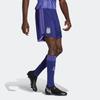 Adidas FW22 Afa A Sho Striped Logo Straight Football Shorts Men Shorts Purple HB9213