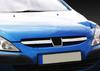 Накладки на решетку (2001-2005, 2 шт, нерж) для Peugeot 307