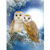 DIY Owl 5D Diamond Painting Full Round Drill Animal Diamond Embroidery Cross Stitch Mosaic Resin Crafts Kit Wall Art Home Decor