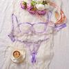 Lace Perspective Lingerie Chest Support Bra Briefs Set Sweet Lingerie Suit  Valentine's Day