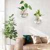 Office Vase Wall Hanging Glass Wall Decoration Hydroponics Semi-Circular