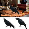 Хэллоуин Черные Вороны Пернатые Вороны Хэллоуин Украшения Выглядящие Черные Вороны Большая Ворона Вороны Реалистичные I7S9