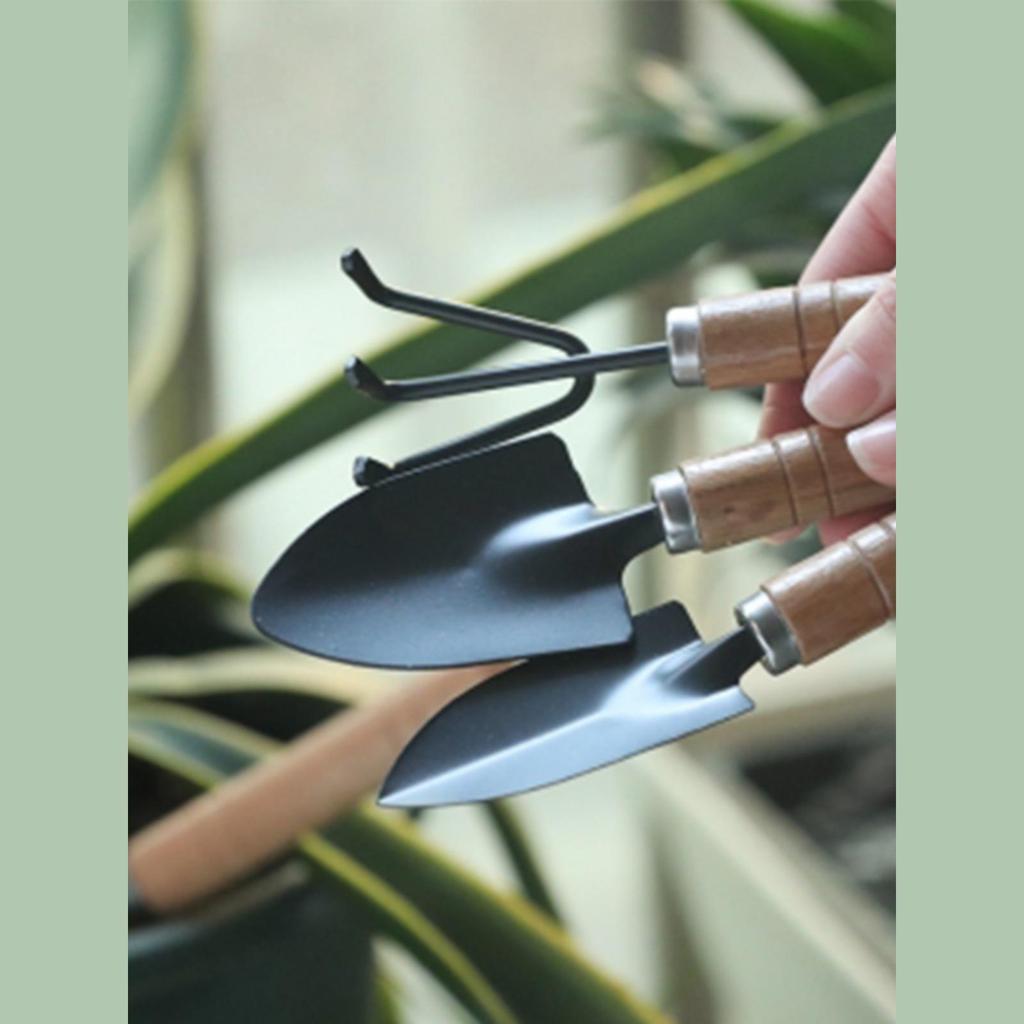 Набор садовых инструментов: Набор из 3 предметов для овощей, цветов и суккулентов - Включает маленький совок, грабли и лопатку.