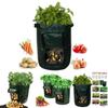 Practical And Lightweight Garden Plant Tools For Homegrown Food On Balconies And Patios