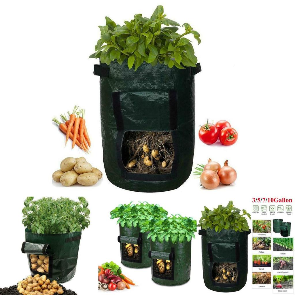 Practical And Lightweight Garden Plant Tools For Homegrown Food On Balconies And Patios