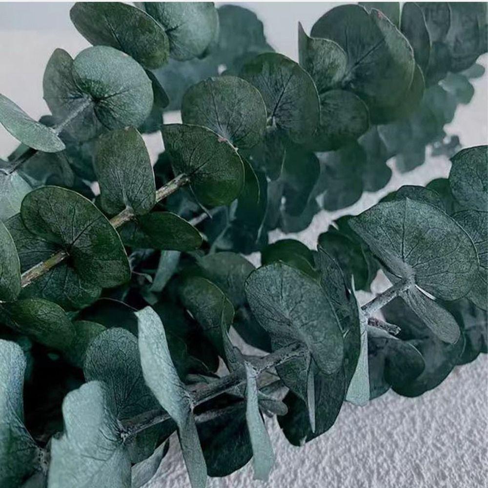 10 Pcs Large Artificial Plants Flowers 22 inch Home Decoration Preserved Eucalyptus Stems  Bathroom