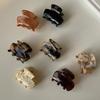 Cute Mini Acetate Hair Clips Women Girls Hair Claw Clip Vintage Headwear Hair Clips Hair Accessories Hair Pins Small Barrettes