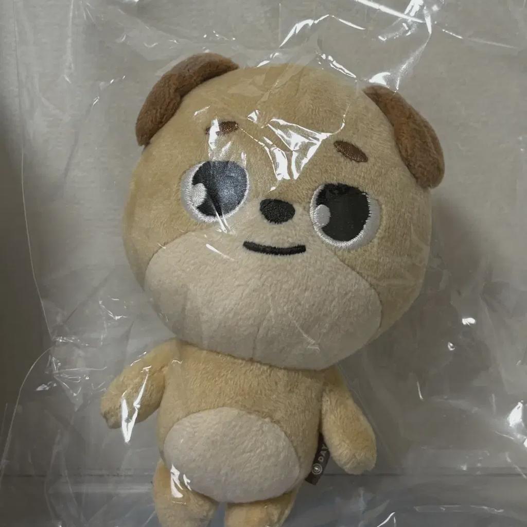 Dennimals Dowoon 19 Дон Дэй6