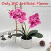 Artificial Phalaenopsis Flower Pot For Outdoor Garden Wedding Decor Photography Props And Home Decor
