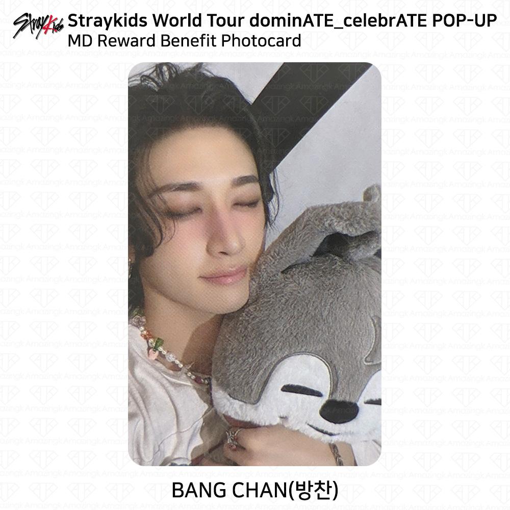 Stray Kids World Tour DominATE CelebrATE POP-UP MD Reward Benefit Photocard KPOP