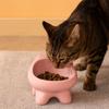 Bow-Tie Ceramic Pet Bowls Large-Diameter Pet Food Bowls Cat Water Bowl  for Cats and Dogs