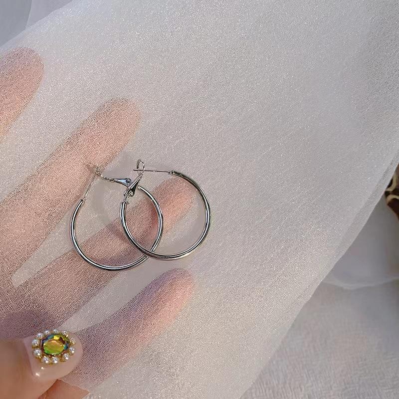 Women's High-End Plain Hoop Earrings: Light Luxury Ear Drops & Studs, Niche Design for Autumn/Winter.
