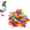 Useful Diameter 8 Mm Birds Pet Products Plastic Pigeon Color Randomly Poultry Leg Rings Clip Rings