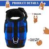 2 Pieces Guinea Pig Harness and Leash with Safety Bell Adjustable Hamster Ferret Harness and Leash Set No Pulling Walking Vest for Ferret Chinchilla