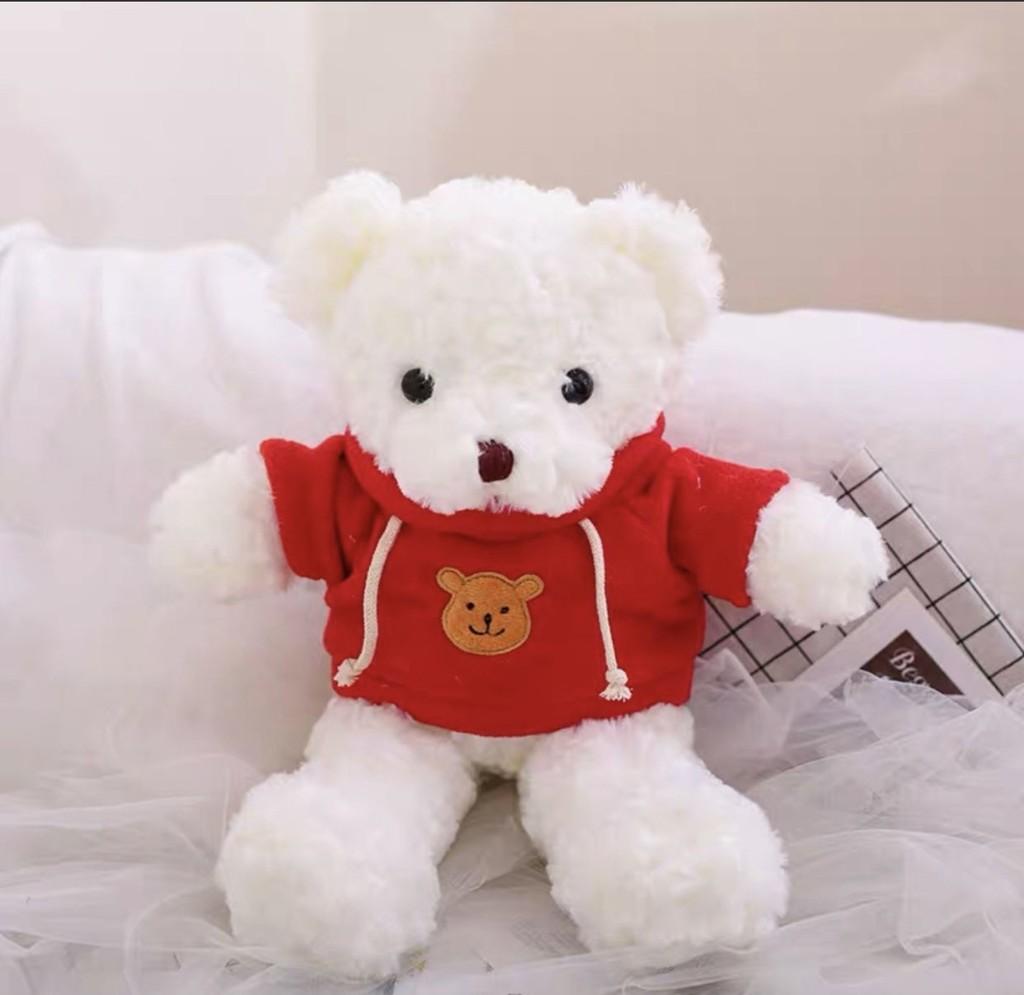 Teddy Adorable Bear Hoodie Cute Girl Kids Companionship Plush Toy Birthday Gift