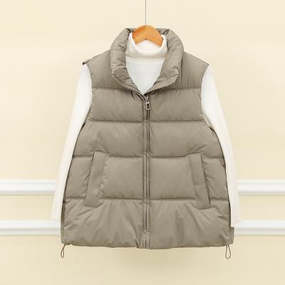 Новая корейская версия осенне-зимнего свободного универсального жилета для женщин, короткий модный корейский вариант теплой хлопковой жилетки-куртки