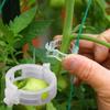 50pcs Tomato Clips Trellis Garden Plant Flower Vegetable Binder Twine Plant Support Greenhouse Clip Supplies