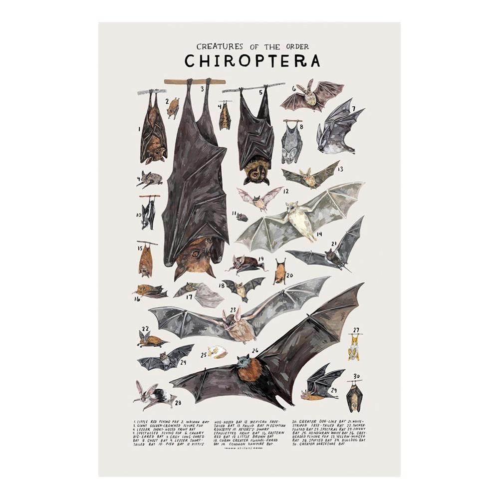 Абстрактные морские организмы медузы киты кальмары рыбы постеры холст картины и принты настенное искусство картина для комнаты домашний декор