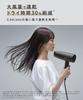 SALONIA Speedy Ion Hair Dryer, High Airflow, Fast Drying, Lightweight, Negative Ion Hair Dryer, SL-013GR, Gray