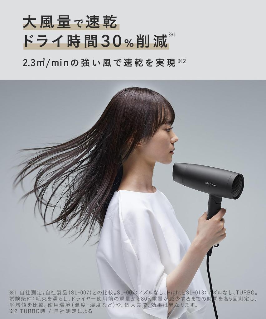 SALONIA Speedy Ion Hair Dryer, High Airflow, Fast Drying, Lightweight, Negative Ion Hair Dryer, SL-013GR, Gray