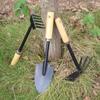 Wooden Handle 3-Piece Gardening Tool Set: Shovel, Hoe, Rake for Flower Pots