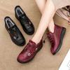 Fashion 2024 Winter Stylish Warm Cotton Shoes Boot Non-slip Waterproof Mothers Shoes Thick Bottom Comfortable Embroidery Shoes for Women