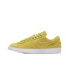 Кроссовки Nike Blazer Low SD Удобные Модные Низкие Скейт-обувь Женские кроссовки AA3962-300