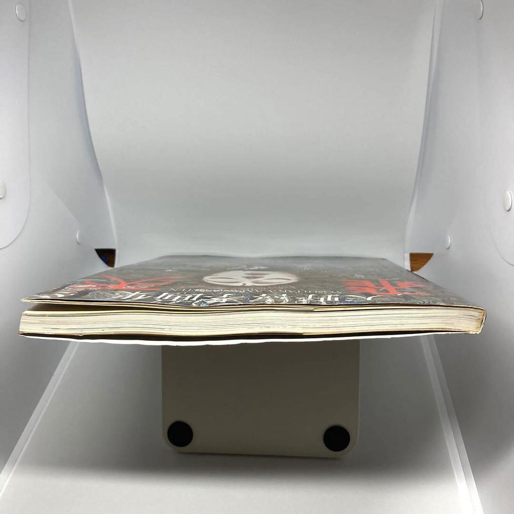 [USED] Yoshitaka Amano Hiten and Maten Art Book Set of 2