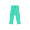 Мужские флисовые штаны Essentials Mint Leaf, зеленые 130SP244252F