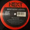 12-дюймовая пластинка NORTHERN LIGHTS - One Too Many NP50156 Next Plateau Re 1991 US Танцевальная и Электронная Б/У