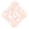 AENUANCE Cloth Pads for Mild Urinary Incontinence, Thin, Absorbent, 2cc Capacity, SS, Non-Waterproof, Pattern No. 179, AESST-179