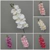 Real Touch Plant Artificial Butterfly Orchid 9 Heads Fake Phalaenopsis Flower Wedding Decoration