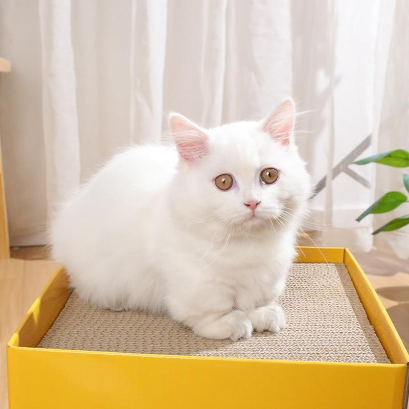 2-Layer Foldable Cardboard Cat House Fun Cheese Design Breathable Sturdy Scratching Post Cat Beds for Sleeping And Playing