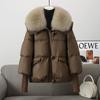 Fashion Winter Parkas for Women Outerwears Hooded Plus Size Loose Faux Fur Collar Thick Warm Women's Winter Jackets