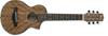 IBANEZ Акустическая гитара Piccolo Мини EWP14WB-OPN