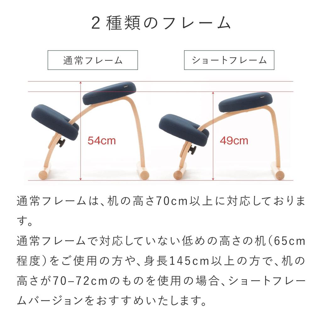 Balance Lab Balance Easy Standard Стандартный Легкий Баланс Улучшает Осанку с Изготовленной в Регулируемой по Высоте Рамой, Коробка, Синий, 147BN005, Стул, Удобство,