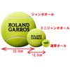 Теннисный мяч Wilson ROLAND GARROS 9 JUMBO TBALL Garros Tour 9 Jumbo Диаметр 22см Желтый WRT1419YD (Роланд Т-Болл)