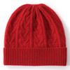 Cashmere Women's Autumn and Winter New High End Solid Color Thickened Warm Twist Twist Versatile Ear Protection Knitted Casual Hat
