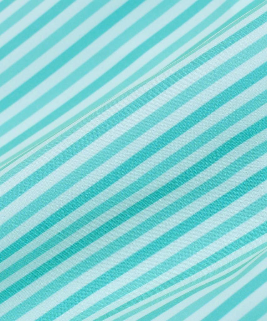 Мужские плавки Billalei Aqua Stripe - Аква-мята