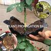 Черенкование Прививка Корневой ящик Прессование веток Укоренение Размножение шаровидных растений Коробка для размножения под высоким давлением